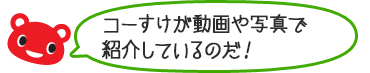 コーすけが動画や写真で紹介しているのだ！