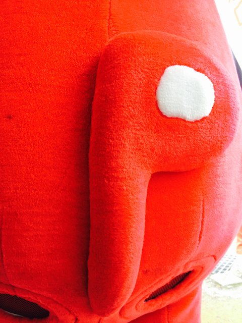 神奈川県にお住まいのsakittyさん しっぽ！｜コーすけの思い出アルバム